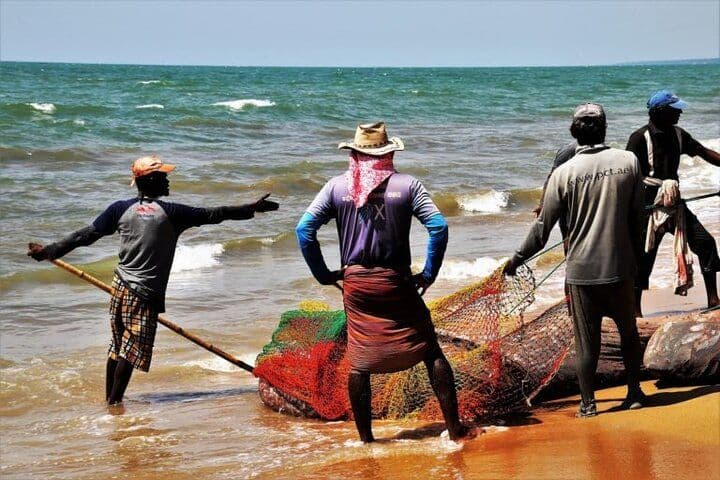 Kalpitiya Coastal Life The Vibrant Fishing Village