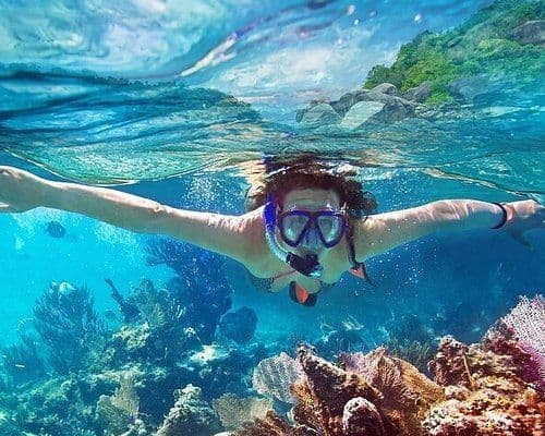 Bar Reef: The Coral Labyrinth